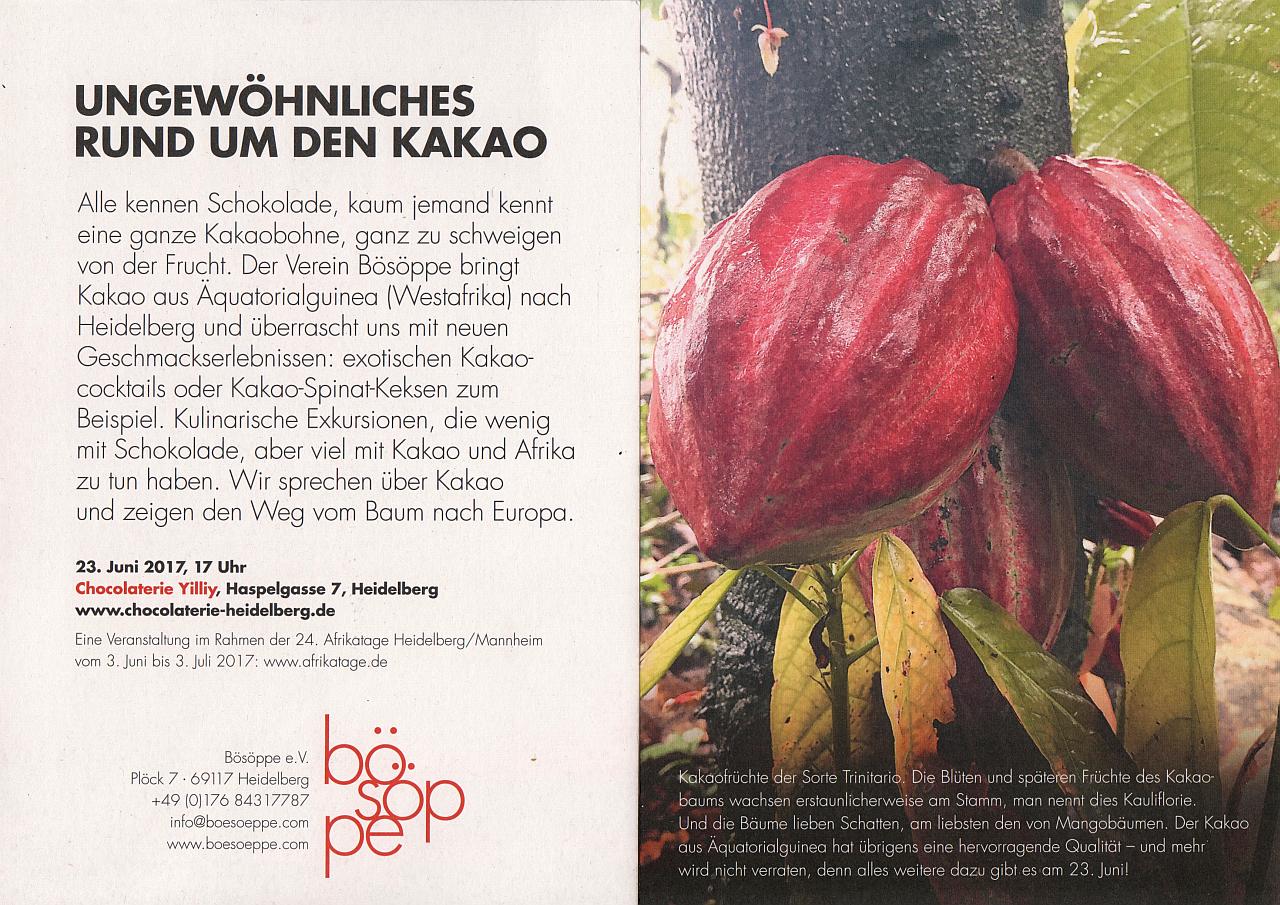 Read more about the article Ungewöhnliches rund um den Kakao